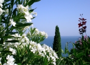 英雄联盟总决赛2025-神迹与铁壁，德布劳内爆发与巴拉圭坚韧胜克罗地亚的双重启示