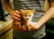 英雄联盟总决赛-冰与火的淬炼，冰岛带走乌拉圭，金玟哉筑起叹息之墙