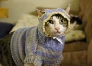 LOL决赛-雷霆如诗，英格拉姆化身为风暴之眼