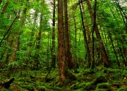 英雄联盟总决赛直播-一剑封喉！欧文末节收割马刺，诠释关键先生本色