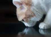 英雄联盟总决赛赛程-世界是一张满弦的弓，他在奔跑中松开了弓弦