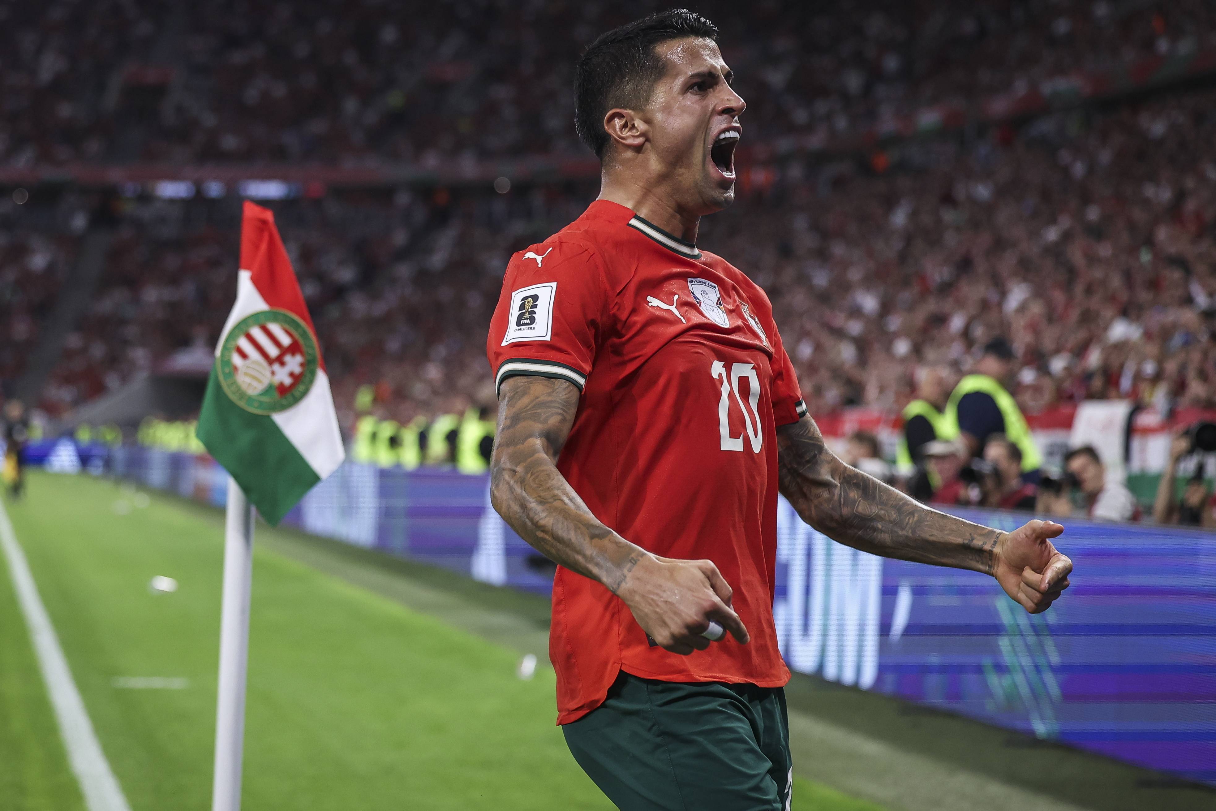 奥地利挺身而出胜匈牙利,晋级欧锦赛四强 奥地利挺身而出胜匈牙利,晋级欧锦赛四强