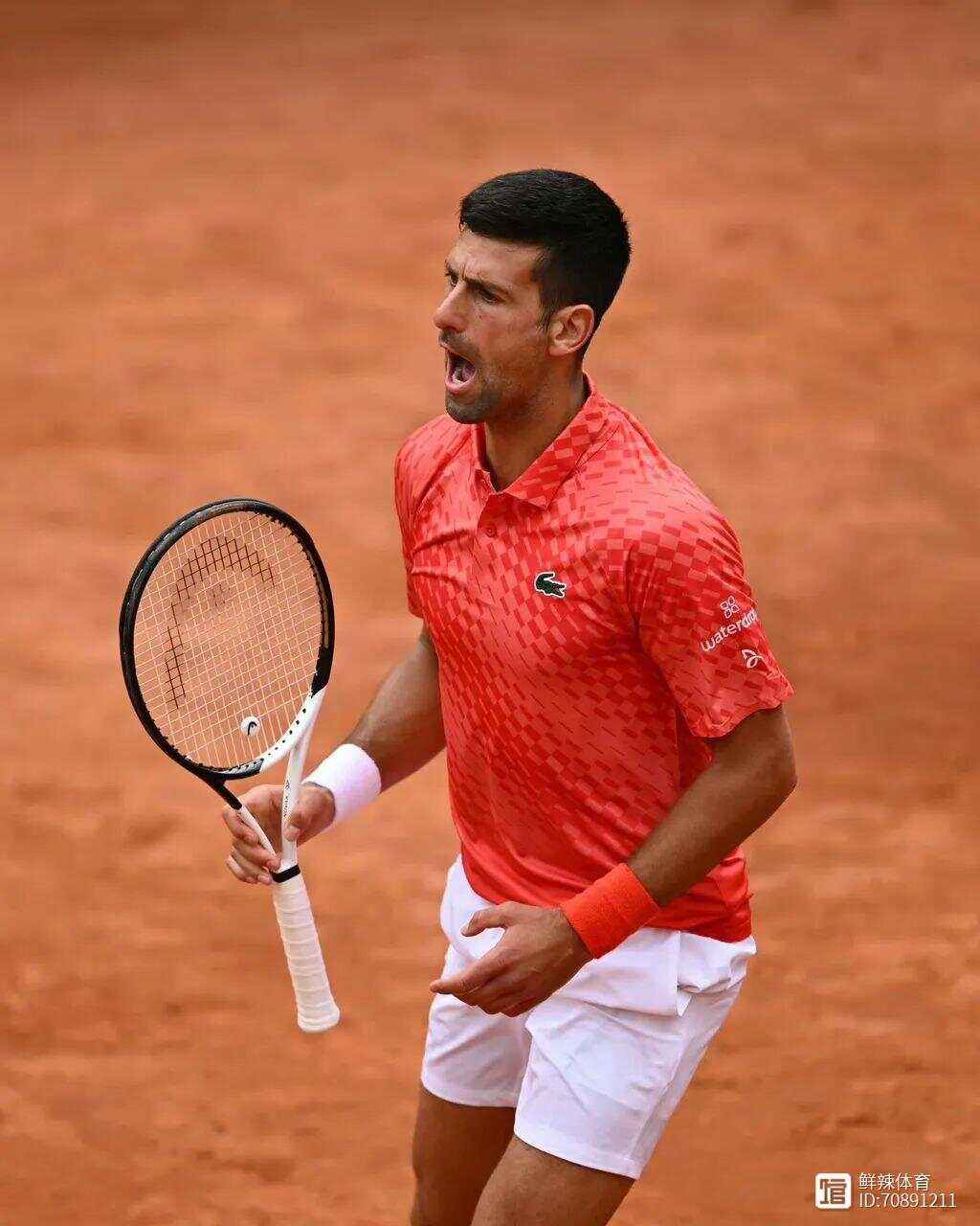 联合杯轻取法网,德约科维奇状态火热 联合杯轻取法网,德约科维奇状态火热