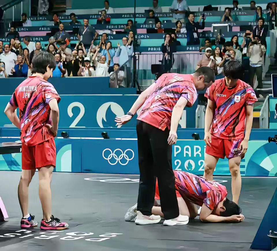 葡萄牙队轻取波兰队,张本智和惊艳四座 葡萄牙队轻取波兰队,张本智和惊艳四座