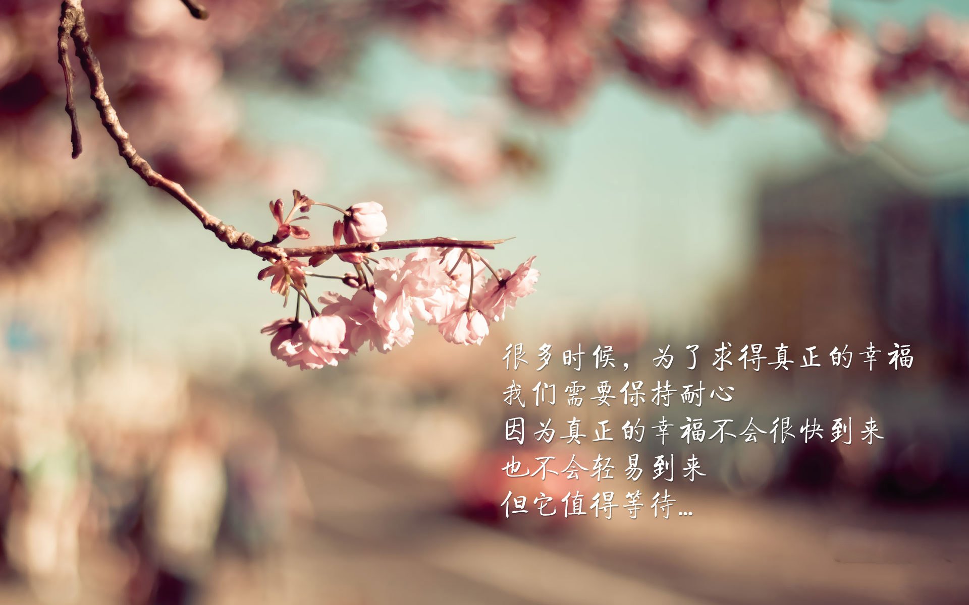 风暴眼,巴尔韦德如何在塞内加尔对阵厄瓜多尔之战中完全掌控节奏