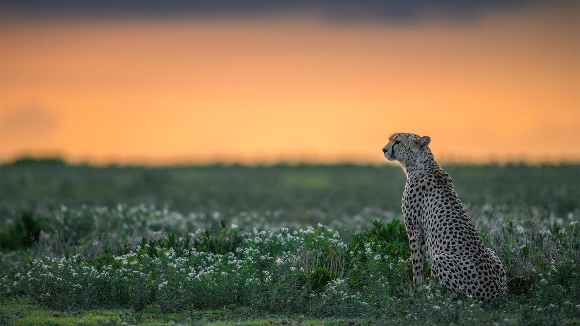 最后的阿特拉斯,摩洛哥补时风暴掀翻银河战舰,苏亚雷斯独造三球封神