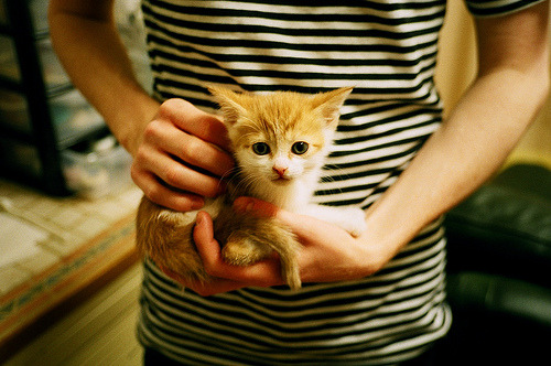 冰与火的淬炼,冰岛带走乌拉圭,金玟哉筑起叹息之墙