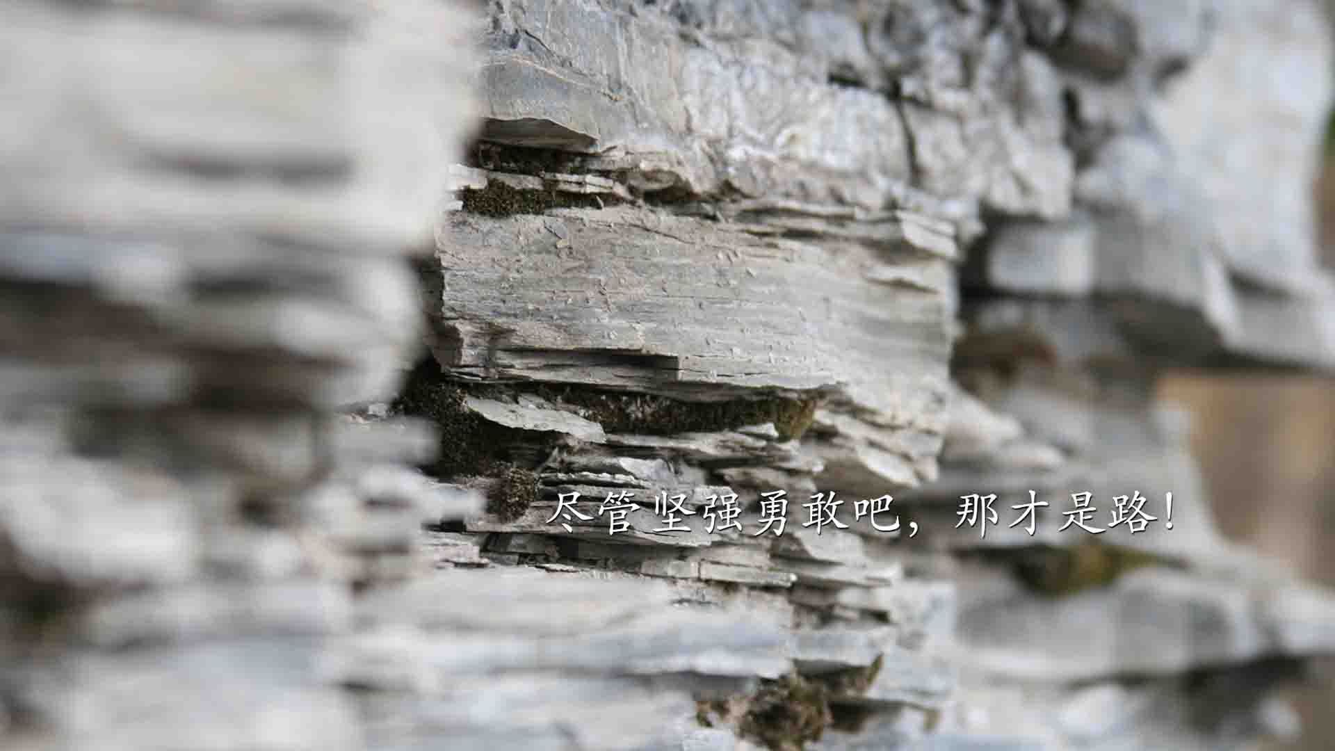 孤独的赛道与沸腾的绿茵