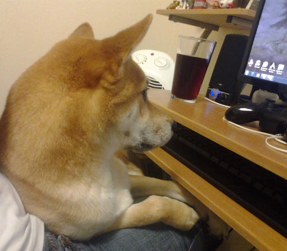 疆场与世界,当新疆开拓者与美加墨的绿茵焦点同频