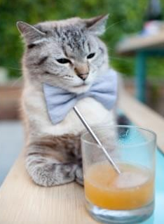 东亚风暴席卷梦剧场,北欧神话照耀米兰城,当日本足球的集体胜利遇见伊布的不朽个人主义