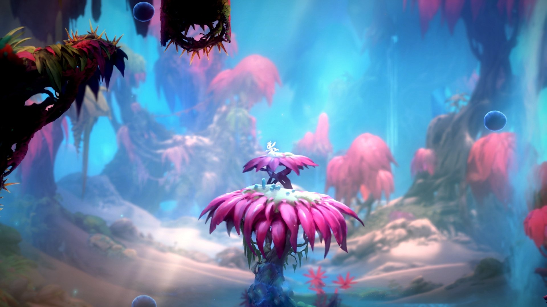 闪电战与铁壁，足球哲学的两极—论乌拉圭的一波带走与德里赫特的防守艺术