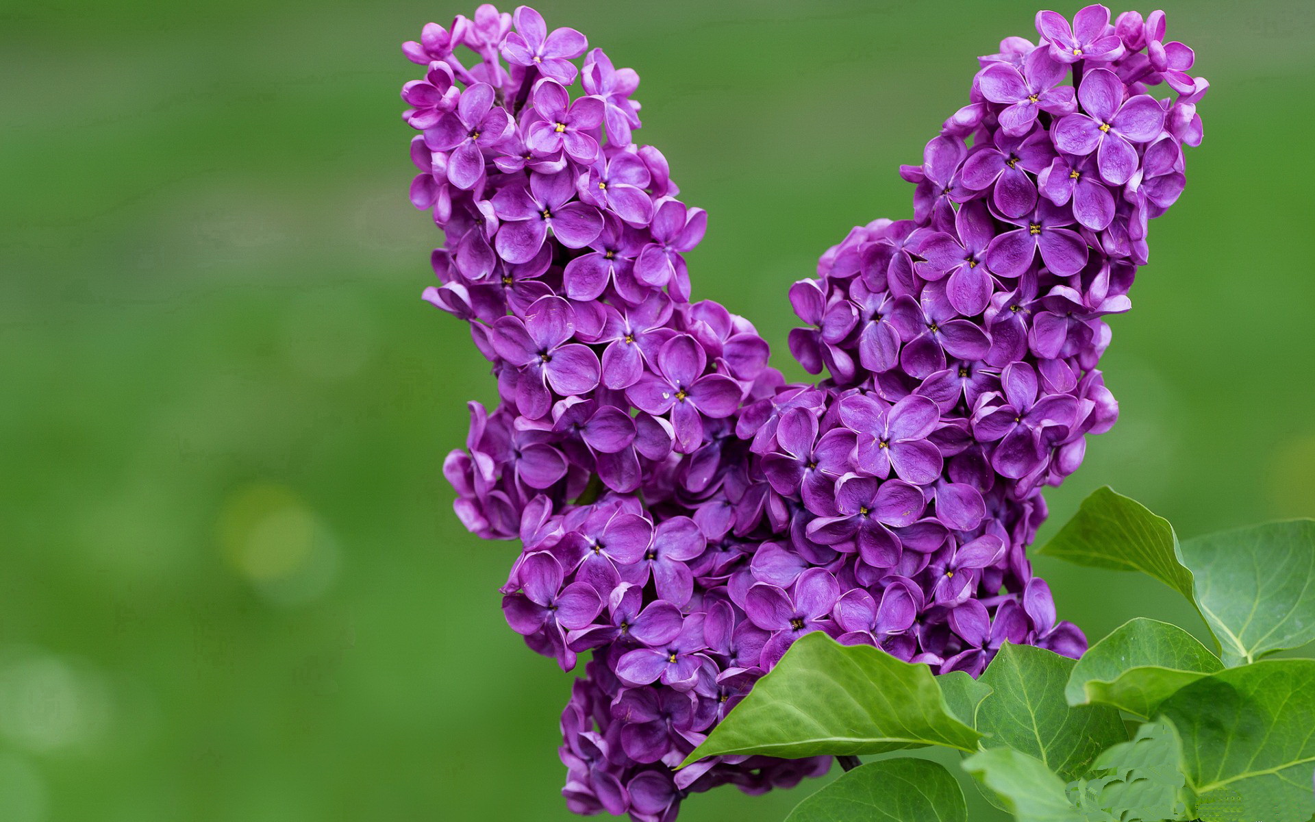 攻防天平倾斜夜，哈登对位约基奇，演绎非典型统治力