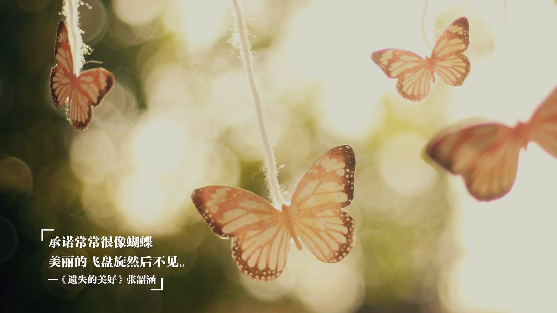 跨界争霸，灰熊胜奇才夺冠路，爱德华兹如英超巨星般接管比赛